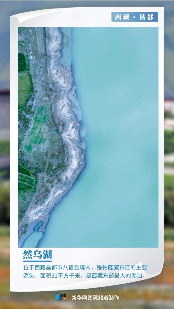 世界环境日｜美丽中国我先行 “绿色长城”阅雪域