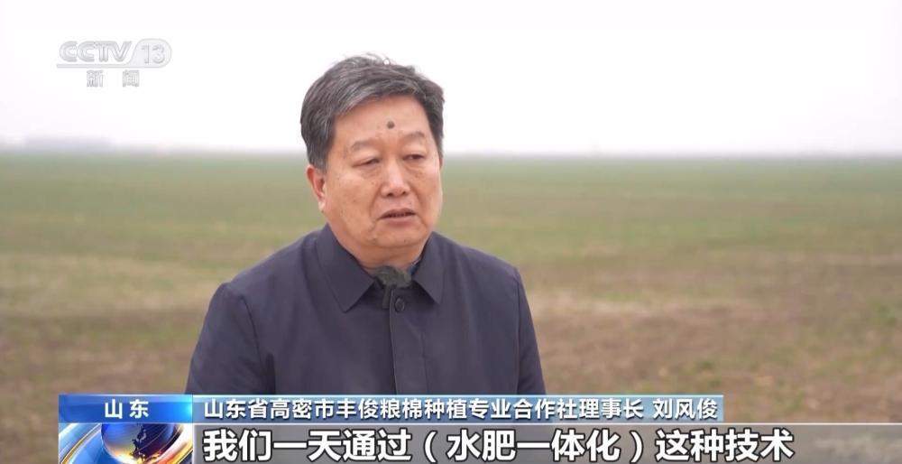 晚播麦吃上“营养餐”，山东精细化田管助小麦“强筋健骨”