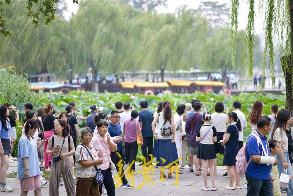 大明湖迎来暑期旅游高峰 赏荷打卡享受清凉一“夏”
