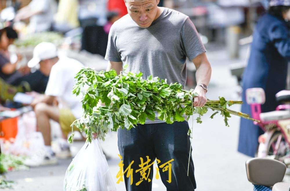端午临近,艾草飘香