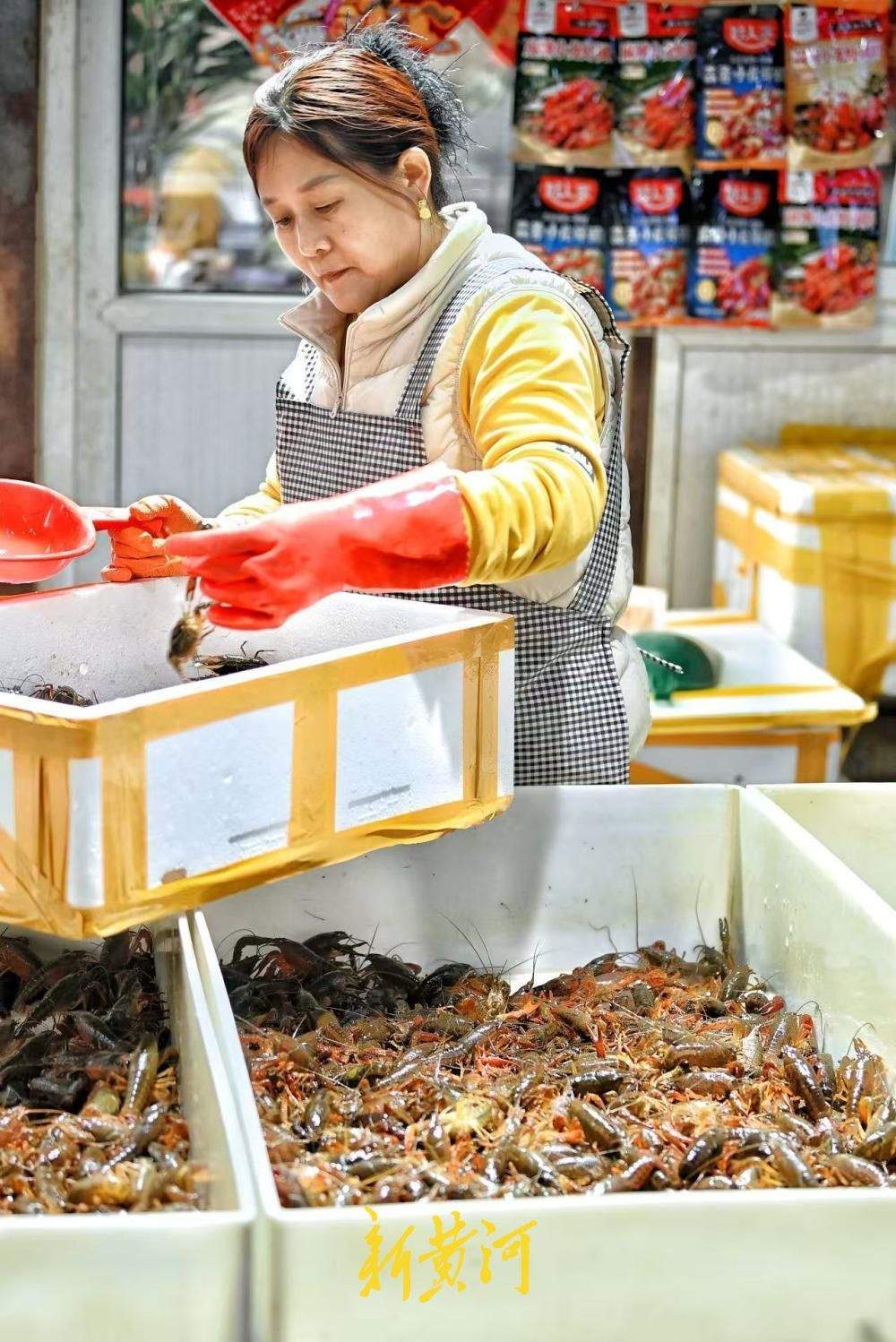 小龙虾新鲜上市，每斤从15元到30元不等