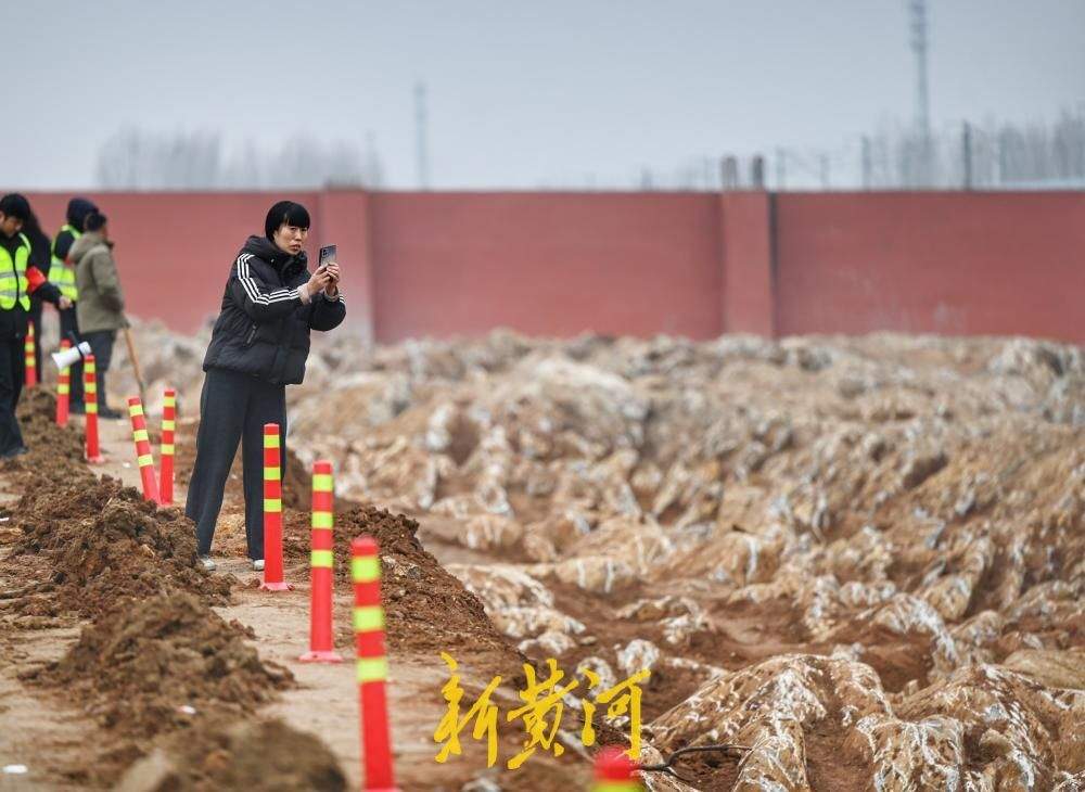 济枣铁路宁阳段发现“石海”，吸引众人“打卡”