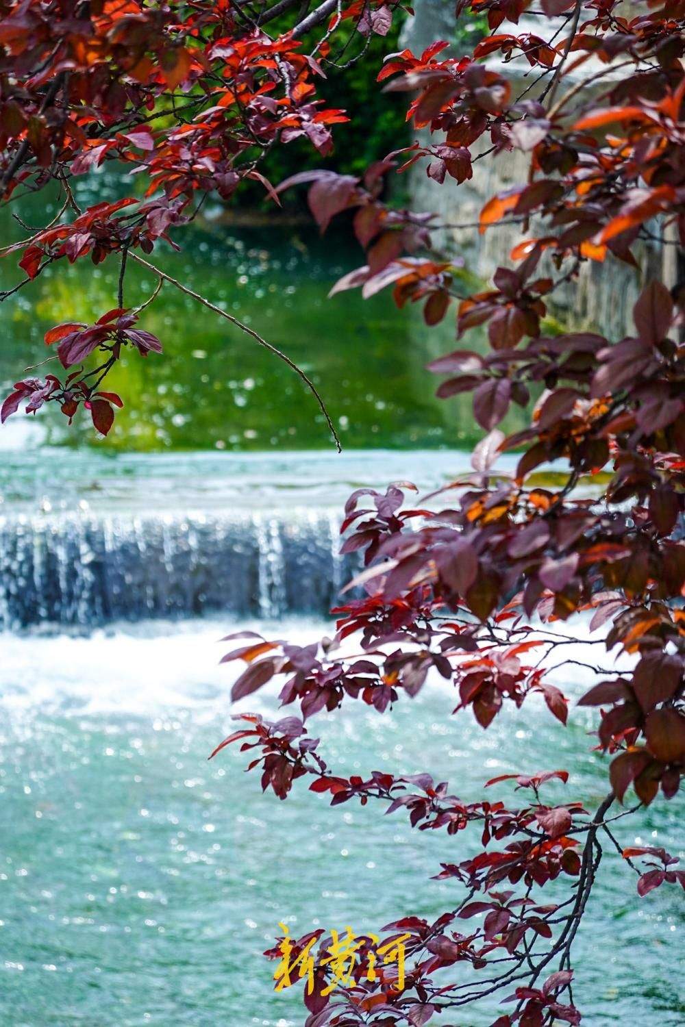 西圩子濠河倒虹吸建成 生产渠恢复碧水长流再现泉城风貌