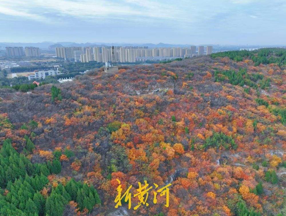 氛围感拉满！济南腊山公园解锁秋日限定色彩