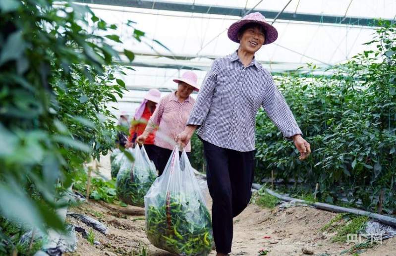 红星照耀中国丨红色根脉点亮赣鄱三农新图景
