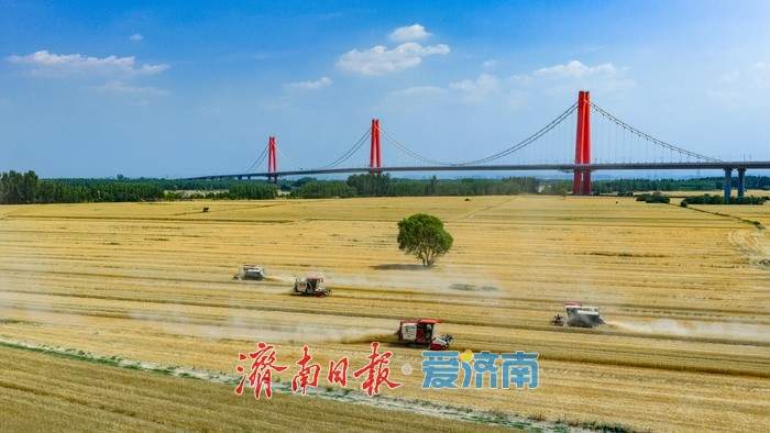 海右新论｜广阔乡村亦是施展才华的大舞台