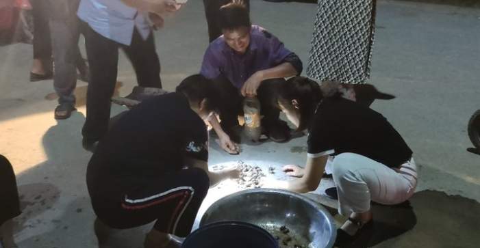 夜探济南章丘“金蝉村”：有村民一晚能摸千余只，收入近两千元