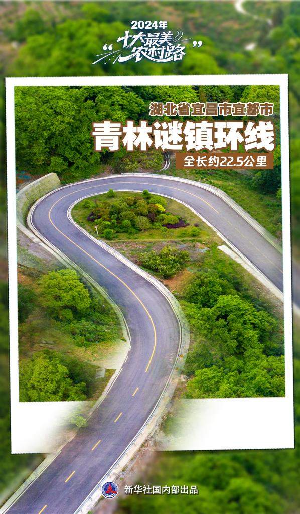 2024年“十大最美农村路”公布，一起去看“诗和远方”吧