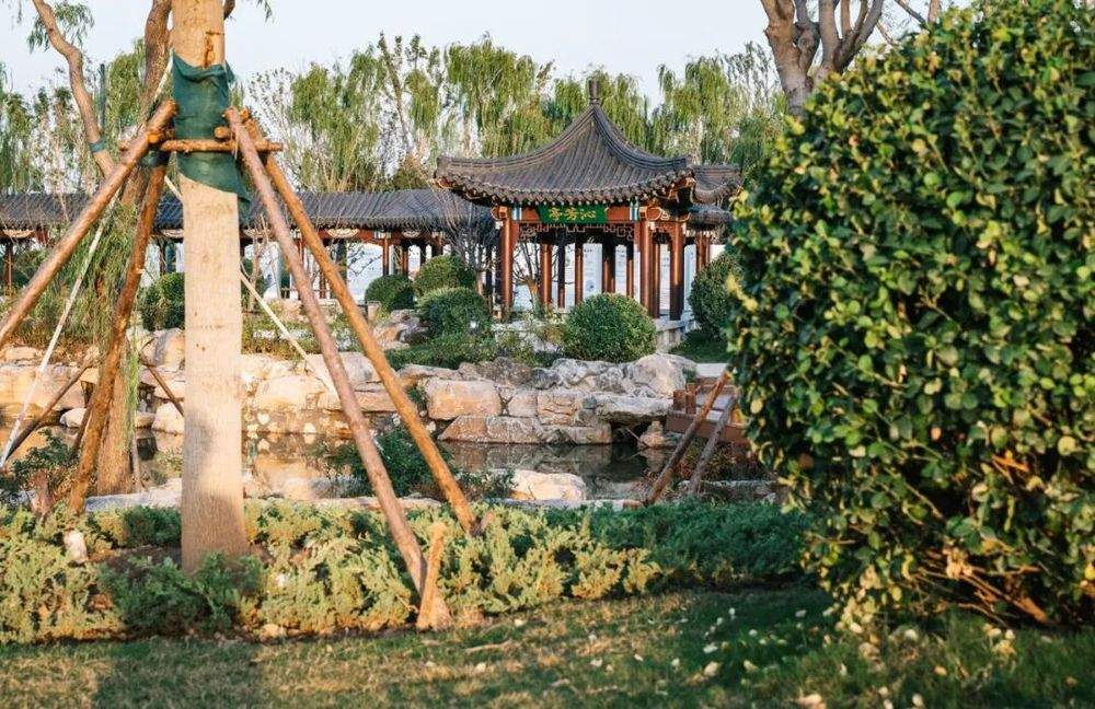 济南这座大型“城市公园”,好逛!