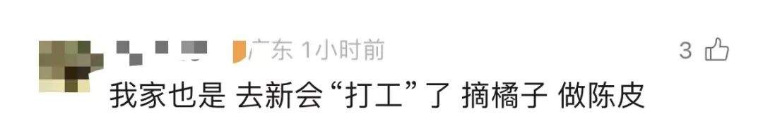 佛山秋假,三小孩在摊位帮忙杀鱼,网友热议