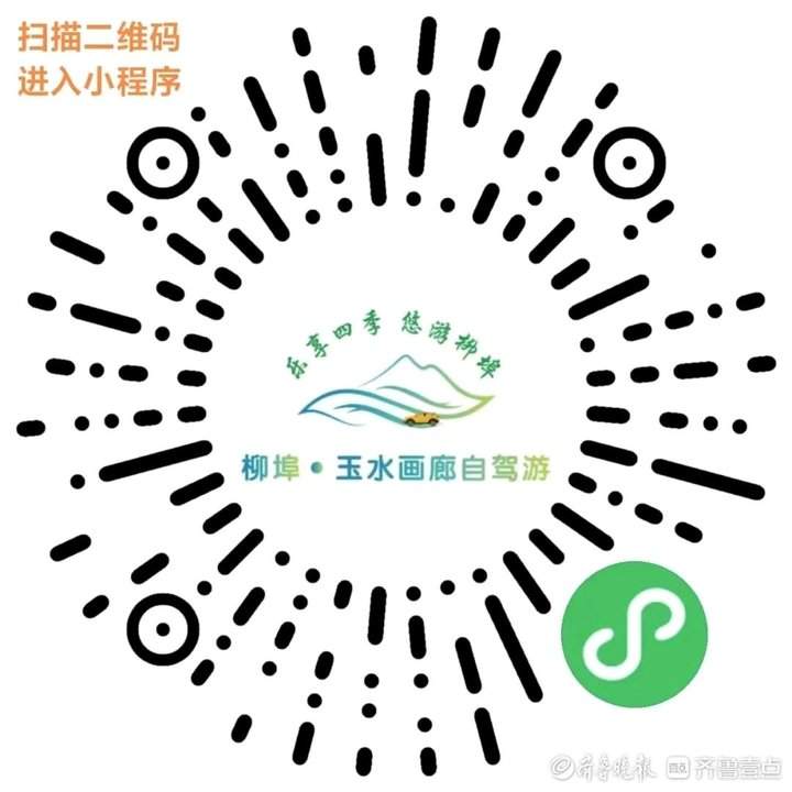 济南南部山区柳埠珍珠油杏成熟啦，快来采摘你的小“杏”运！