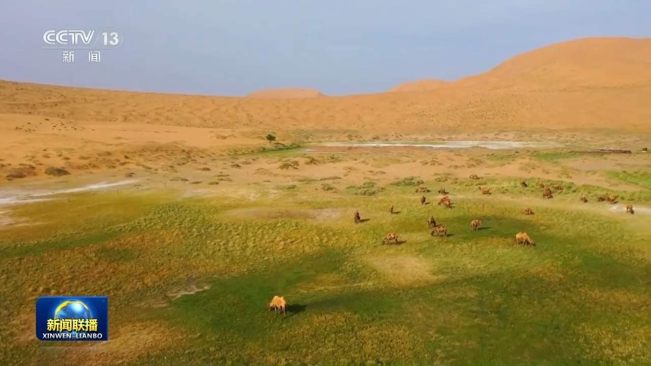 视频丨厚植绿色根基 因地制宜推动高质量发展——总书记重要讲话引发热烈反响