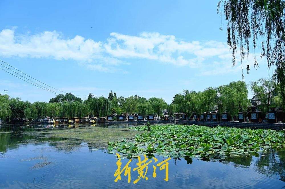 蓝天白云映泉池 济南百花洲绘就绝美夏日画卷