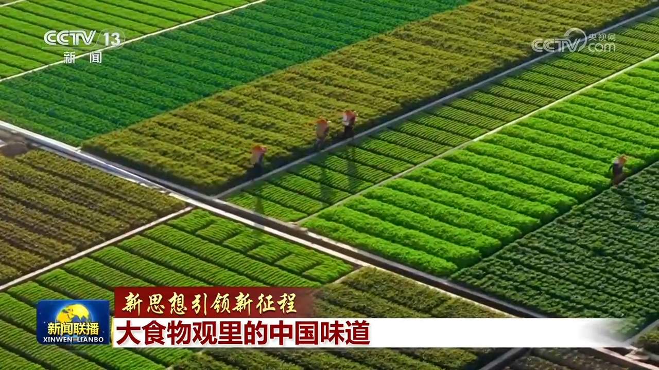 【新思想引领新征程】大食物观里的中国味道