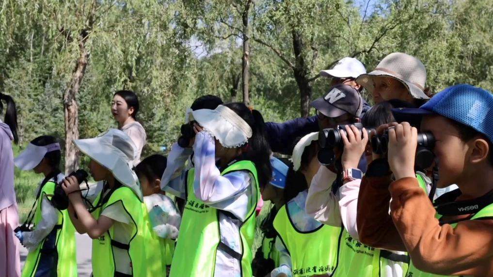 新华视点｜守护绿水青山 多元实践共筑生态环保新图景
