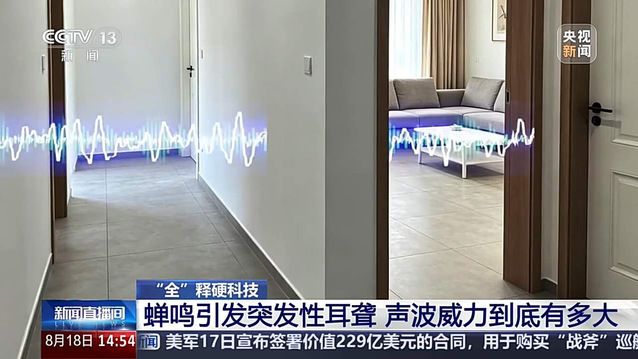 蝉鸣引发突发性耳聋,声波威力到底有多大?
