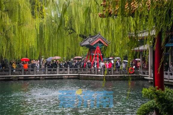 秋雨绵绵，泉水涌动