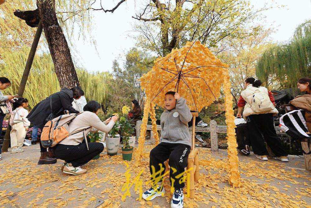趵突泉迎来“初冬浪漫”，银杏打卡点成游客新宠