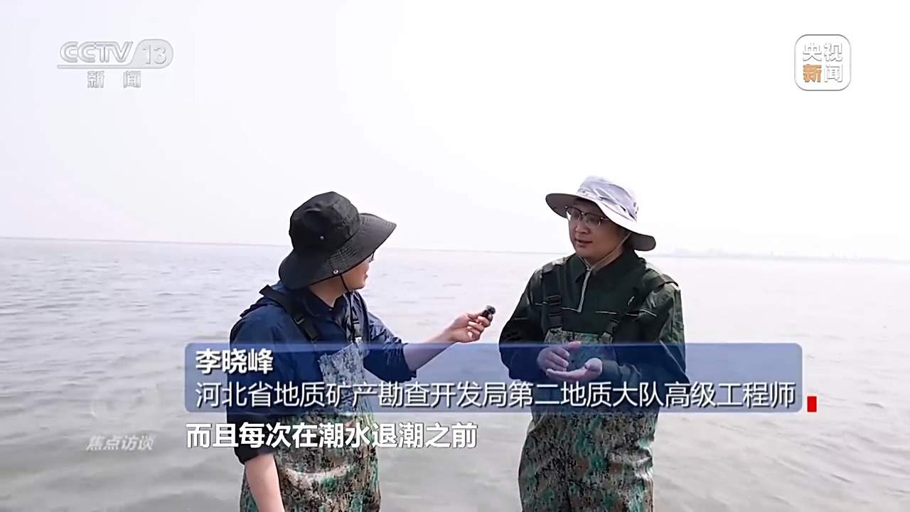 焦点访谈丨保护海洋生态 守好人海和谐的蓝色家园