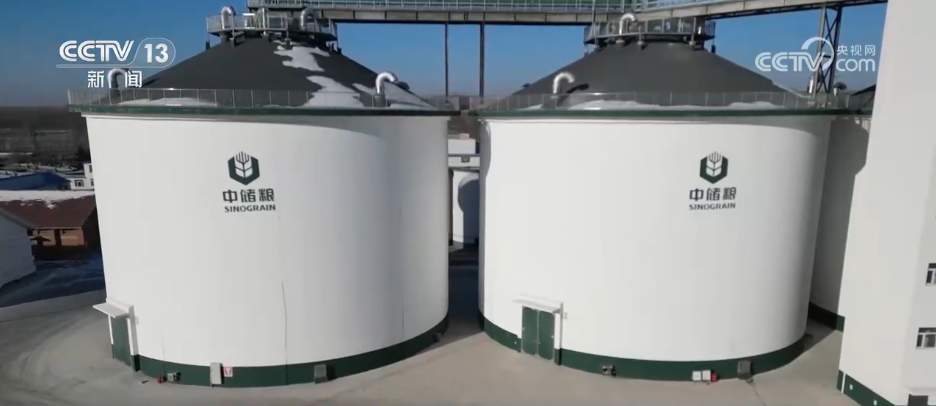 3.45亿吨，市场活跃、价格回升向好！我国秋粮收购交出“丰收答卷”