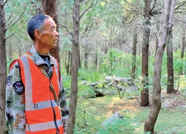 扎根深山23年 济南长清区护林员张传林登上中国好人榜
