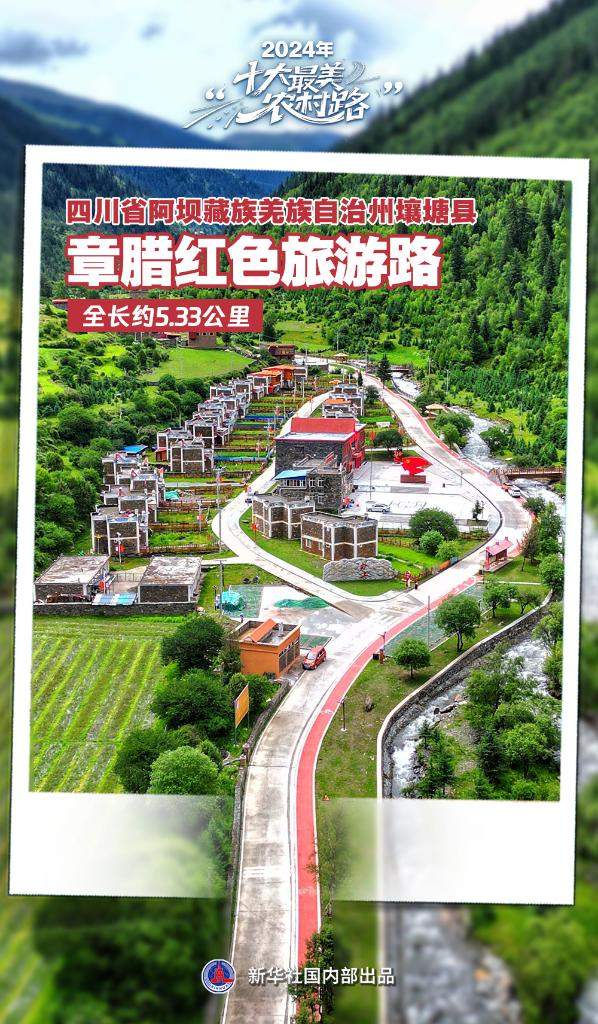 2024年“十大最美农村路”公布，一起去看“诗和远方”吧