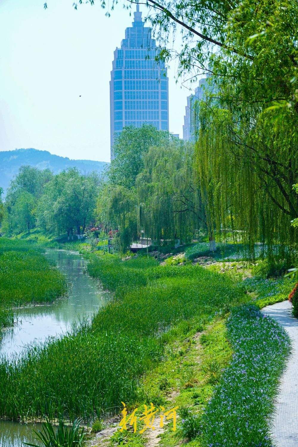 水清岸绿鸟归来,看济南腊山河畔的华丽蝶变