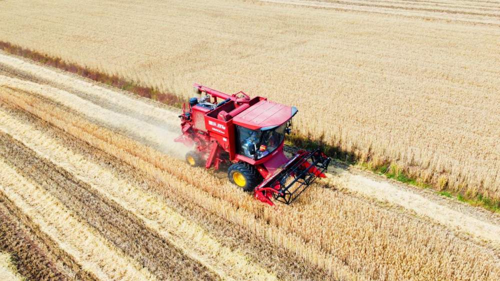 风吹麦浪好“丰”景——多地小麦机收一线见闻