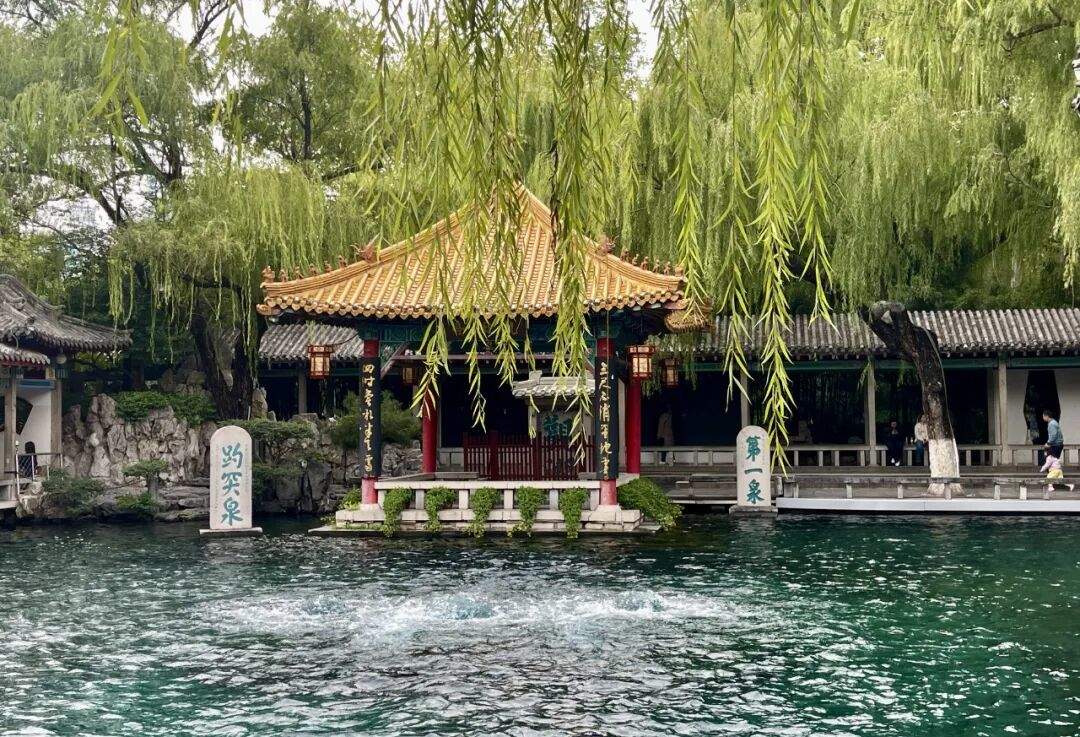 趵眼｜济南想当你的“最佳合伙人”