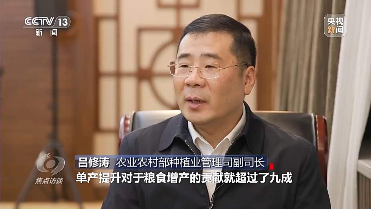 从抗旱到抢收 解读粮食增产背后的“密码”