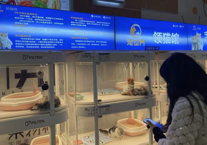 宠物消费四大陷阱曝光!