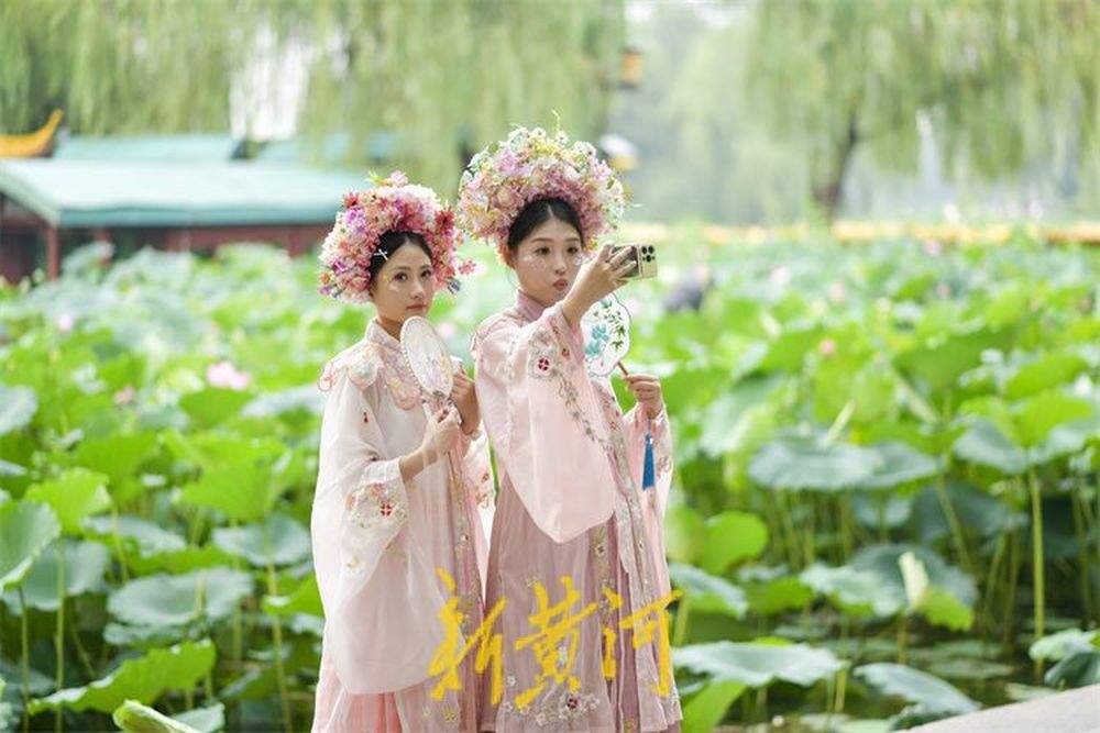 大明湖迎来暑期旅游高峰 赏荷打卡享受清凉一“夏”