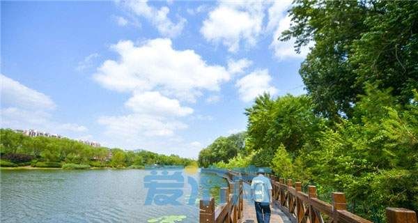 济南，“雨”见这些事