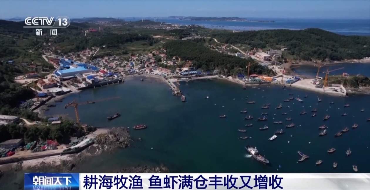 秋粮稳产 鱼虾满仓 金秋时节各地丰收又增收