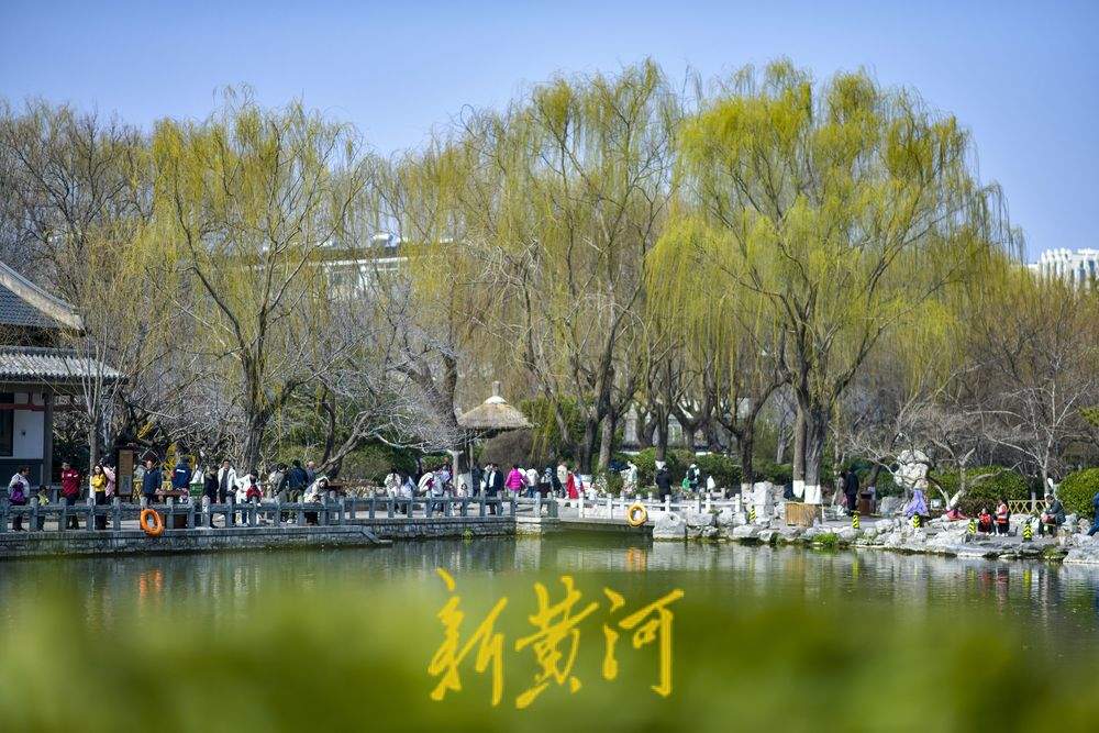 仲春时节开启“追花游”，济南踏青赏花热度攀升