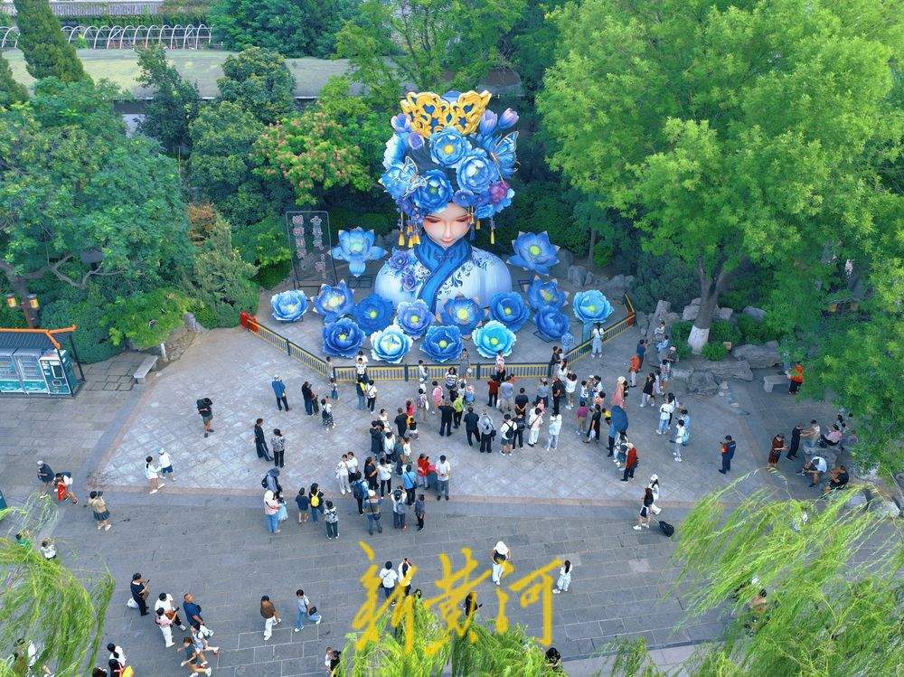 “会说话+有荷香”！泉城“湖畔雨荷”2.0迁新居热度不减