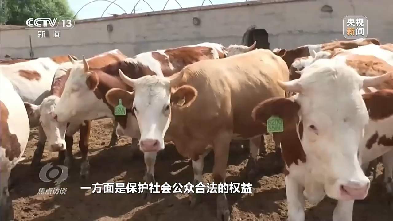 已有数万人被骗 起底“云养殖”里的骗局