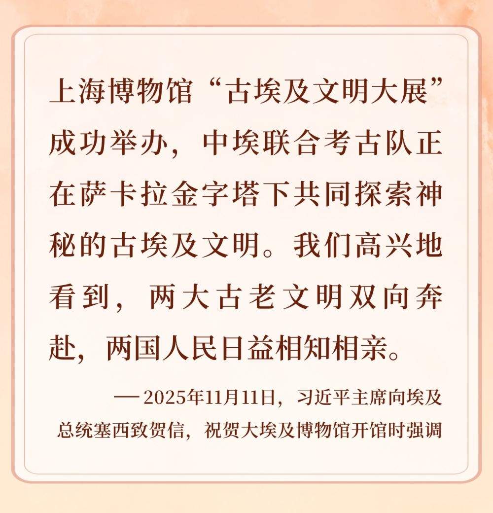 镜观·回响｜元首引领 中埃合作结硕果