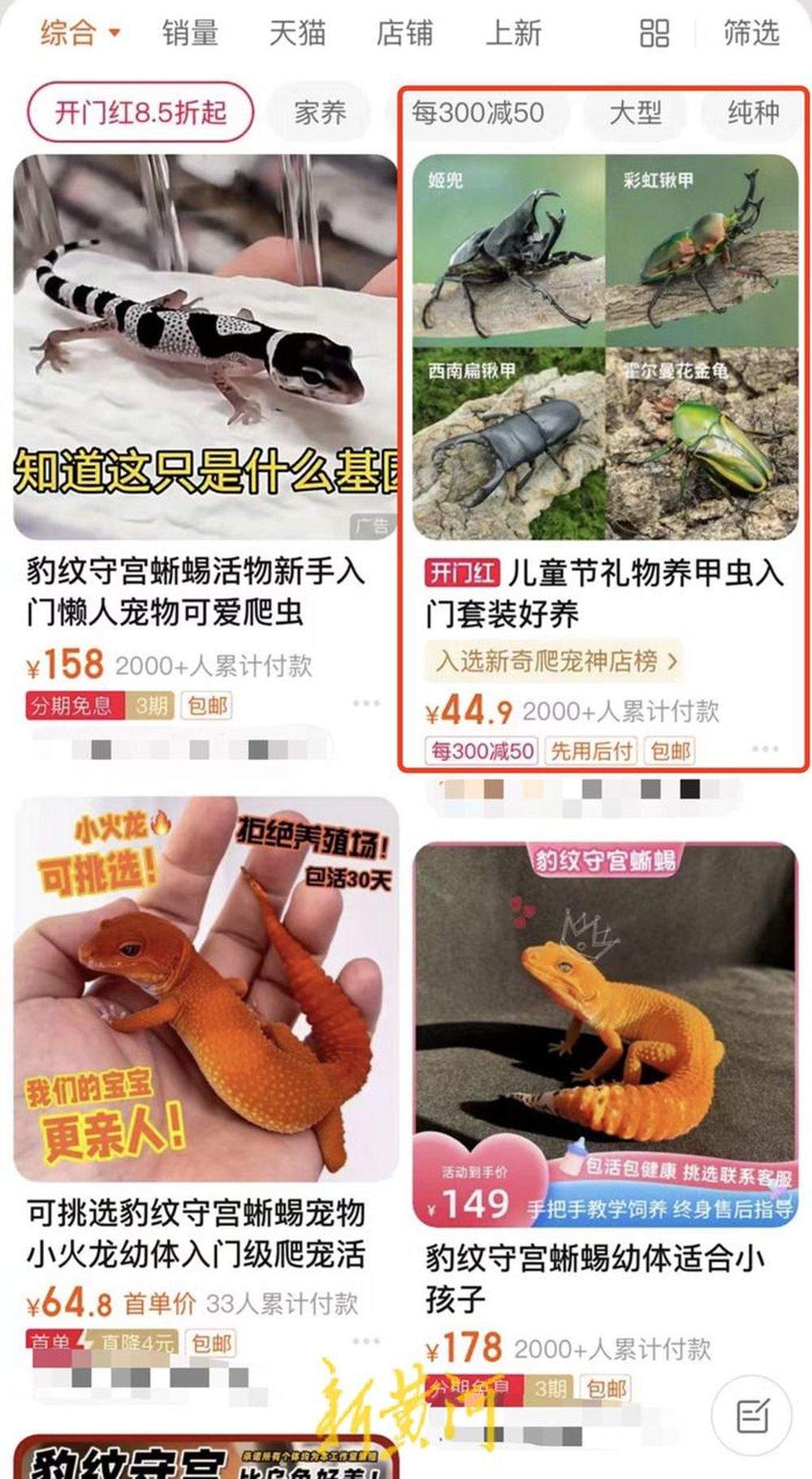 “异宠”被包装成儿童节礼物热销，价格从几十元到几万元不等，业内人士：供不应求