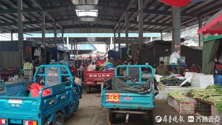 有青叶菜单价破十！济南多种蔬菜价格上涨，何时变回“家常菜”？