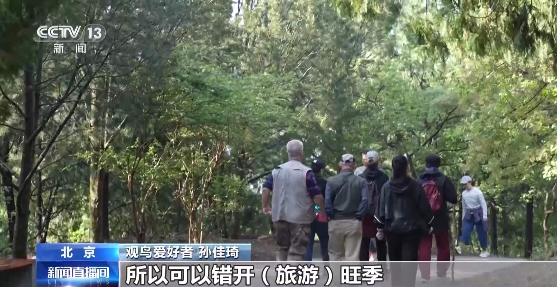 公园长满“打鸟”大爷 银发一族助力小城“观鸟经济”