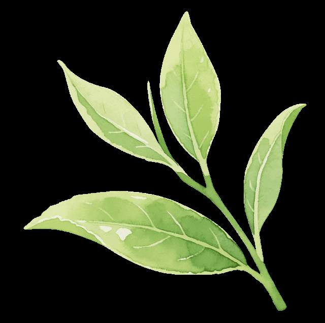 强对流天气来袭，今天傍晚到夜间山东将出现强对流天气，需关注大风带来的不利影响 