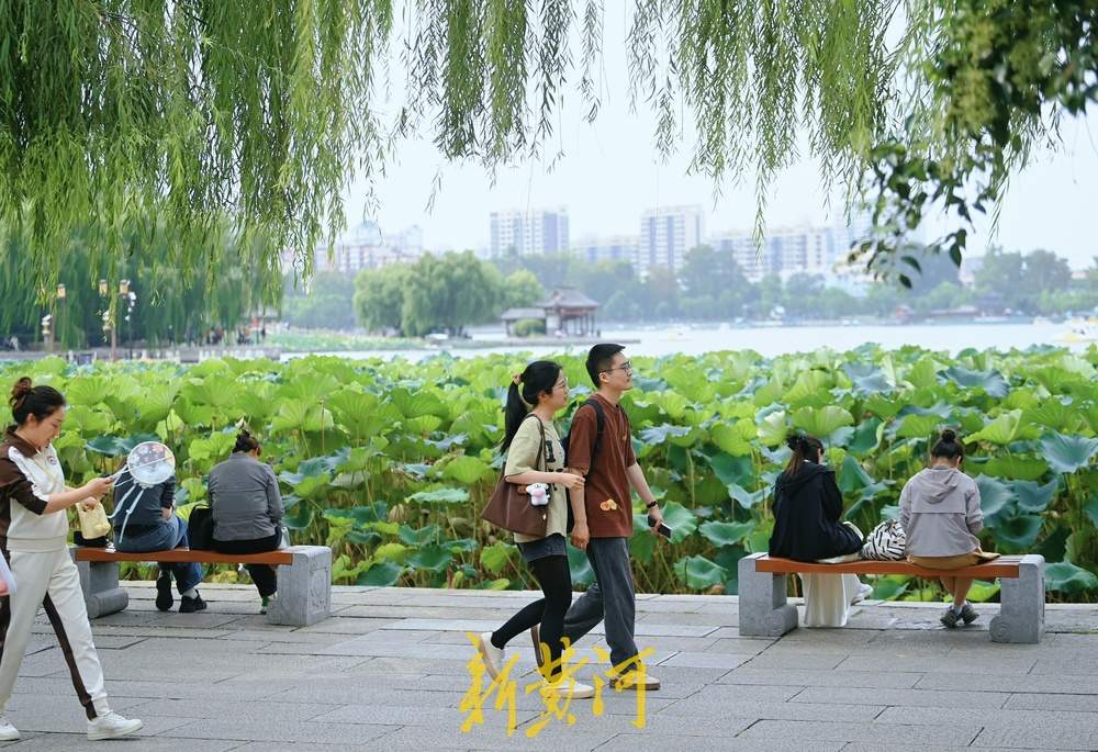 大明湖畔秋高气爽，游客驻足赏秋荷