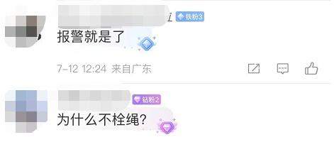 要严惩!男子遛狗不拴绳 家长理论遭怼:咋不把小孩拴起来