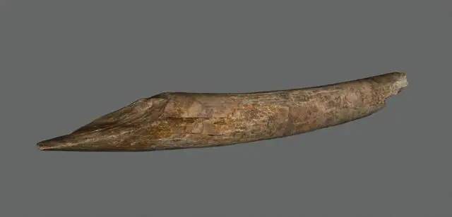 山东沂水跋山遗址群入选！2023年度全国十大考古新发现公布