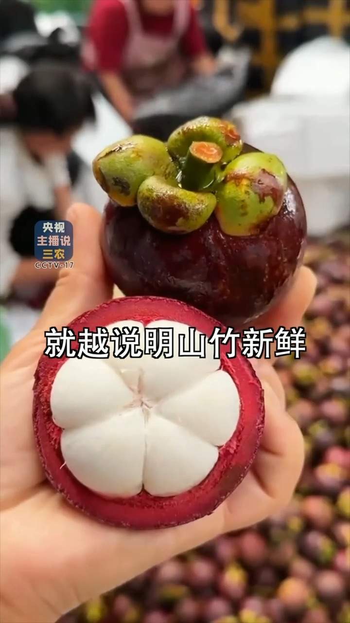 怎么买到完美山竹？一看“帽子”、二捏外壳