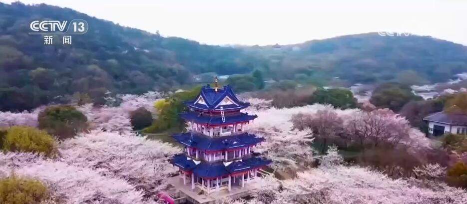 跟着“繁花”去旅行！“春日经济”激活大众消费热情