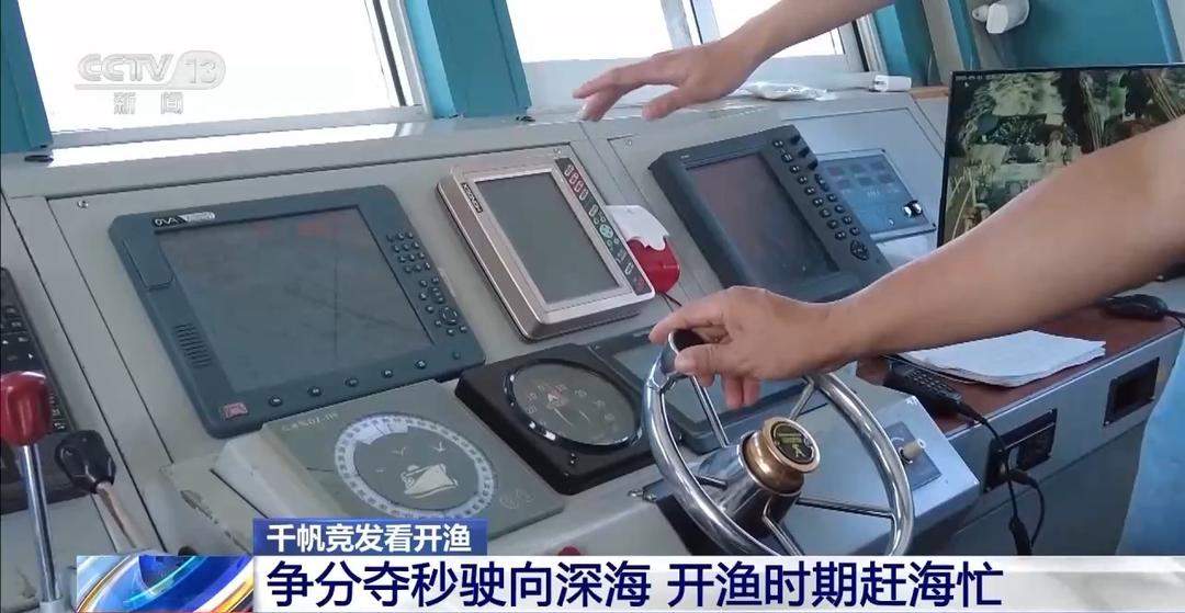 开渔期赶海忙!山东各大鲜活海产“游”进市场