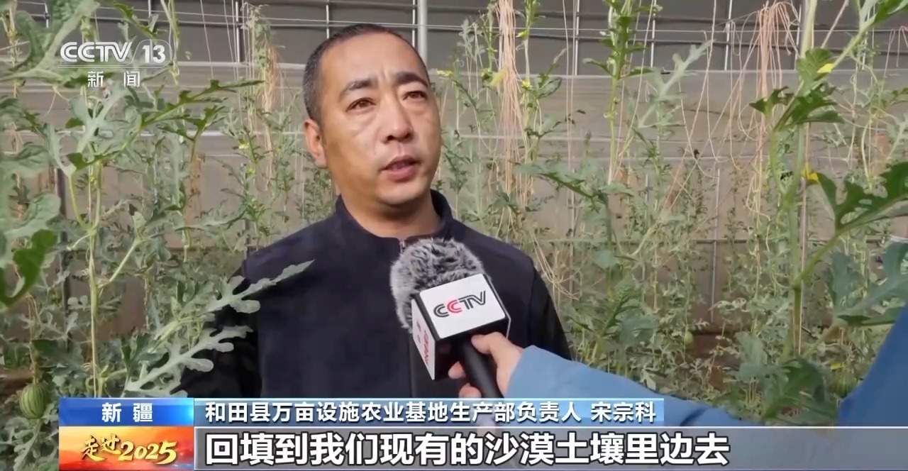 “两山”理念下 新疆沙生经济“点沙成金”