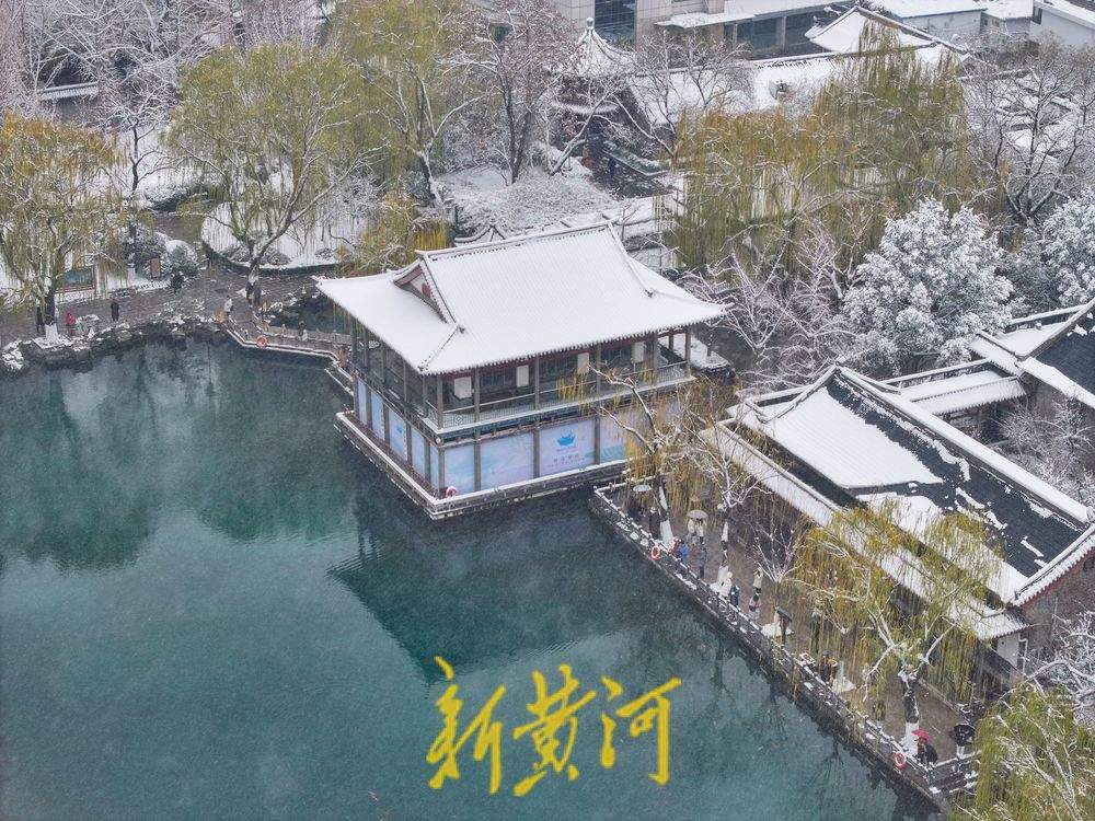玉树琼枝，静谧如画！济南护城河雾霭流云，五龙潭琼枝映雪